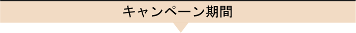 キャンペーン期間