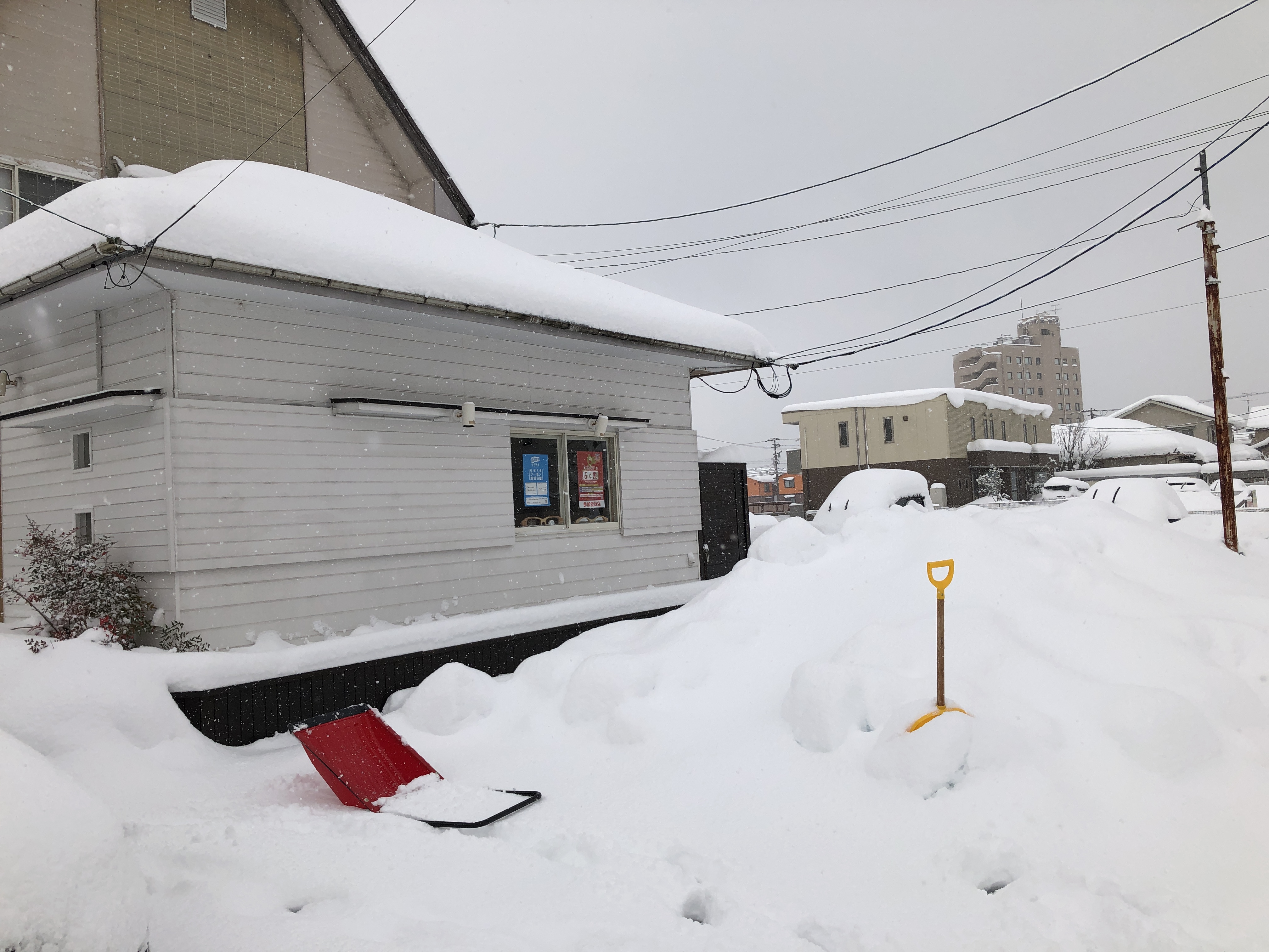 �׻��ٶ����Τ�����